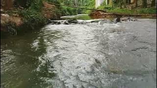 mentahan video di sungai
