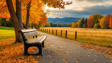 Thumbnail of Relaxing classical music:   Beethoven, Mozart, Bach, Chopin, Vivaldi ... 🎹🎹