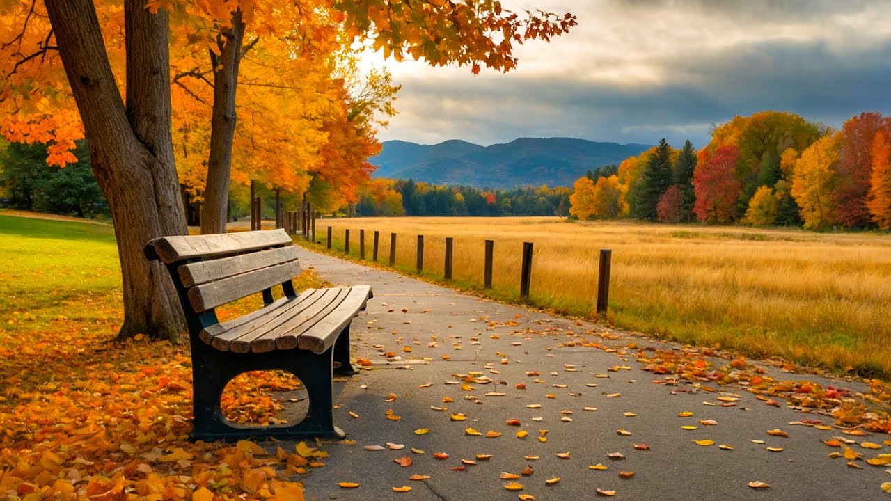 Расслабляющая классическая музыка: Бетховен, Моцарт, Бах, Шопен, Вивальди... 🎹🎹