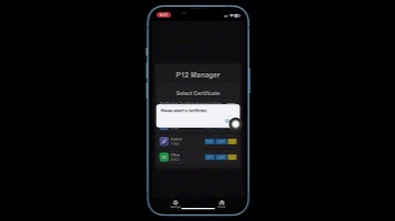 iOS 18 - 15 Apple P12 Manager Jailbreak AppbInstaller - Esign Gbox Feather Sideloader