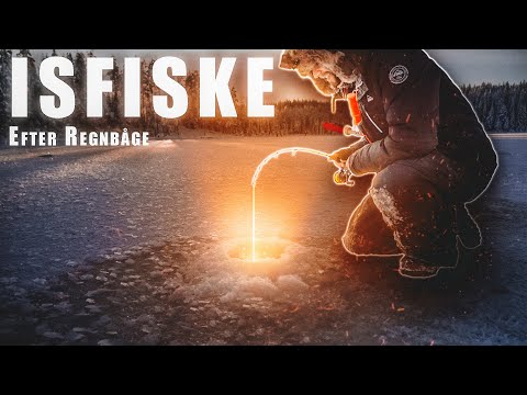 Pimpelfiske På Första Isen - Regnbågsfiske