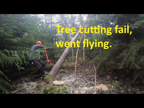 How to use an felling shovel on hanged up tree (sort of). - YouTube
