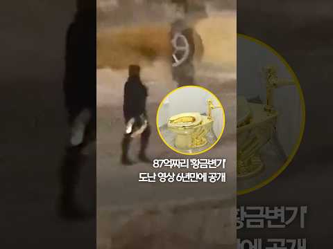 87억짜리 &amp;#39;황금변기&amp;#39; 도난 영상 6년만에 공개 #shorts