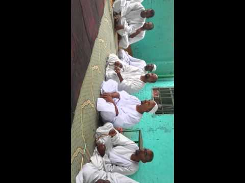 المادح فكي علي في مدائح أب شريعة من طيبة المختار 