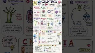 NEET Biology: Coelenterata Complete Revision 🔥 | CNIDARIA Trick Explained #neetbiology #neet