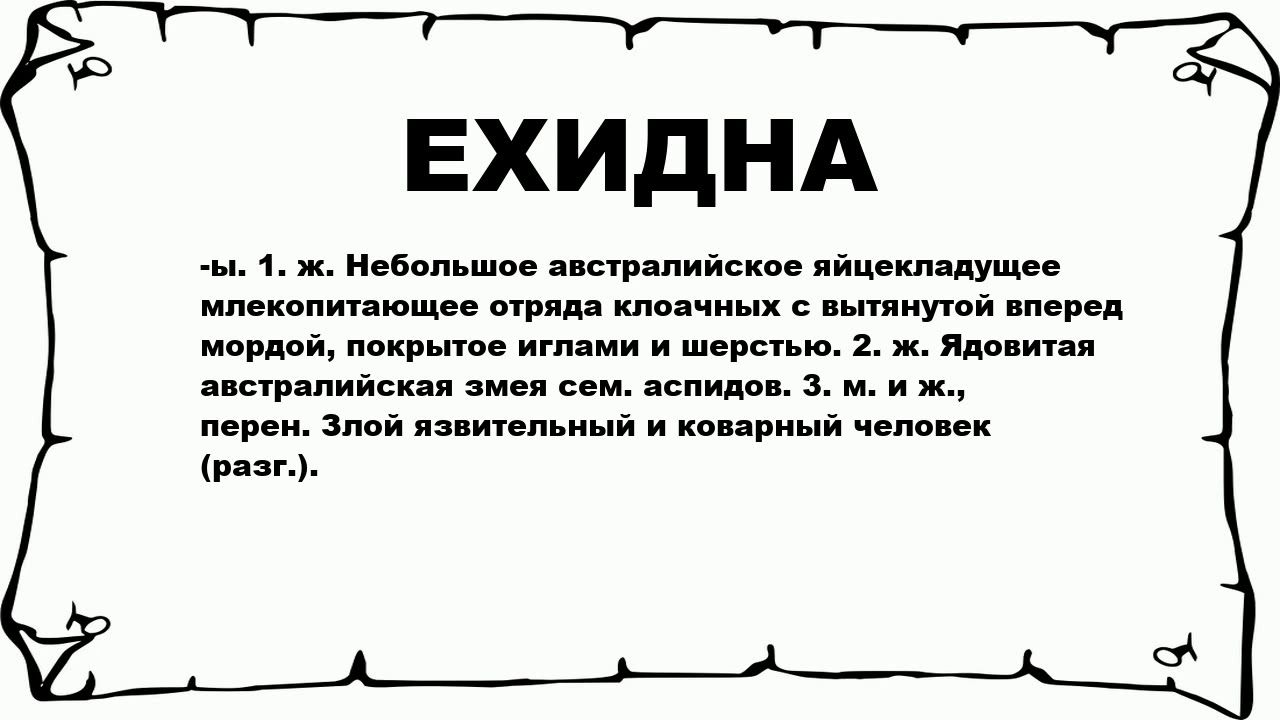 Злой язвительный человек 5 букв. Ехидна значение. Ехидность значение. Ехидно это простыми словами. Обозначение слова ехидный.