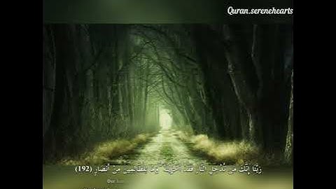 الشيخ هاني الرفاعي سورة  آل عمران  آيات ١٩٠ - ١٩٤