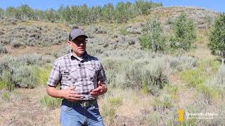 University of Idaho - REM 410/520 Vegetation Height & Structure