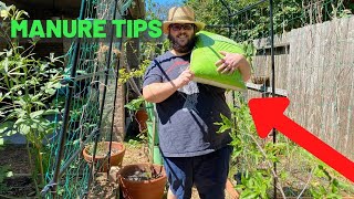 Gardening Tips When Using Manure