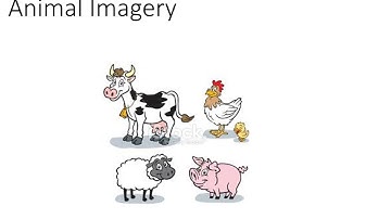 Technique symbols used in lessons