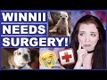 Winnii Needs Surgery :(