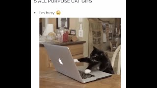 How to make a GIF list on The List App screenshot 5