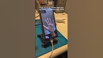 Animatronic Hand Control App