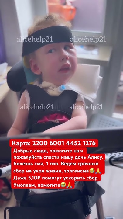 Наша ласковая девочка Алиса 🆘💔 - YouTube