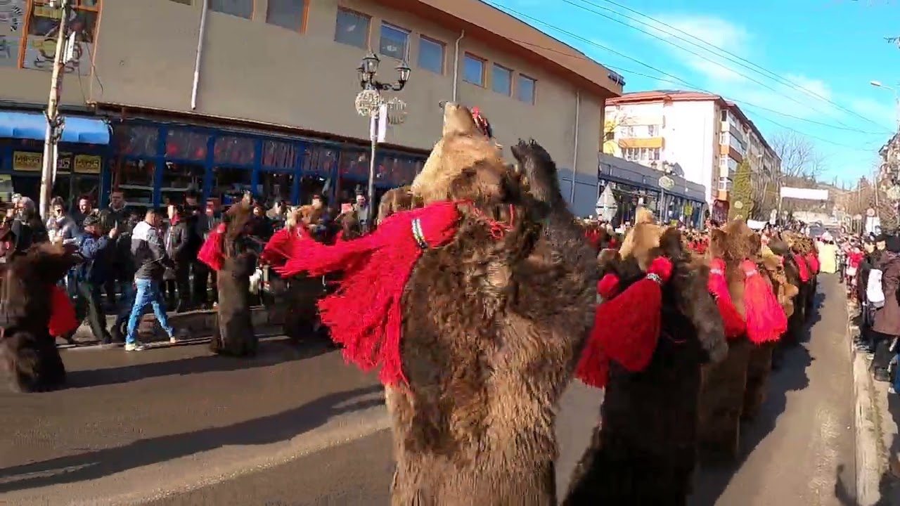 Traditii in Comanesti 2024 Dansul ursilor