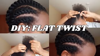 How To: Flat Twist Natural Hair For Beginners