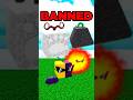 DELETED FRUITS FROM BLOX FRUITS