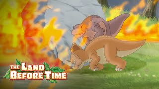 The Bright Cirlcle Celebration | The Land Before Time