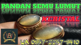 HARGA BATU PANDAN SEMU LUMUT KRISTAL_GEMSTONES_INDONESIA_WARUNG BAU AKIK PANDAN