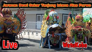 Live Jaranan Dewi Sekar Tanjung Istana Alas Purwo live Watukebo BlimbingSari.