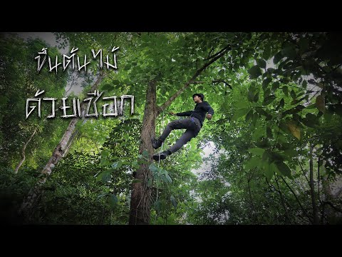 วีดีโอ: รองรับการปีนต้นไม้จากวัสดุชั่วคราว