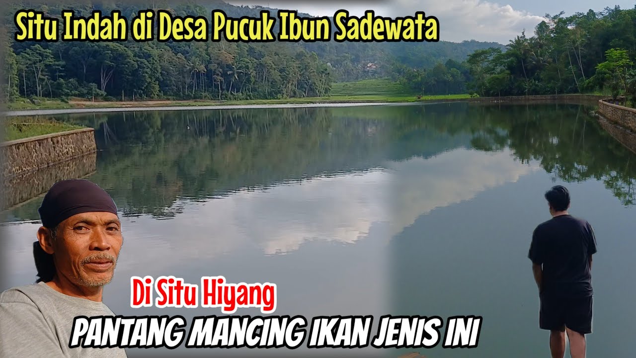 Di Situ Hiyang Sadewata Pantang Mancing Ikan Ini #alamdesa #pucukibunciamis