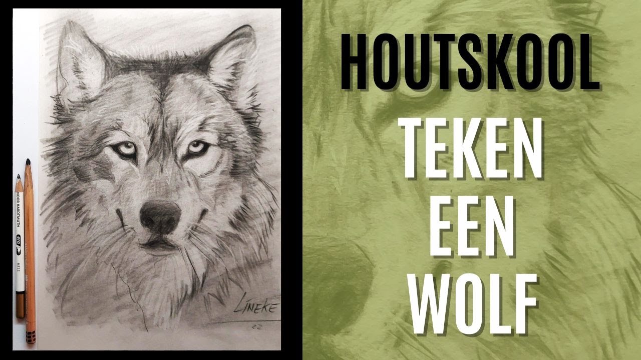 Hoe Teken Je Een Wolf Met Houtskool En Gumpotlood - Youtube