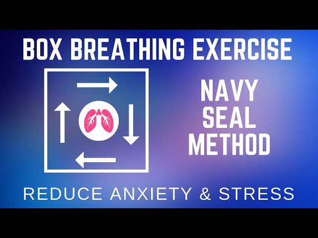 Box Breathing Exercise | TAKE A DEEP BREATH | Pranayama Series class=