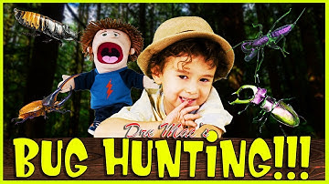 Learning about bugs with toddler and Silly puppets. Learning made fun