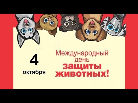 Мультфильм ко дню защиты животных