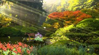 Dreams Animated Wallpaper http://www.desktopanimated.com