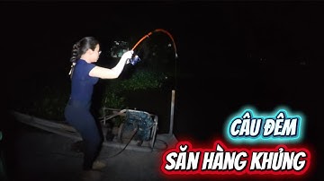 Hành trình một ngày một đêm săn cá tra khủng kênh cây sao thành quả quá bất ngờ Oanh vlog