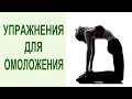 Тибетская гимнастика: 5 тибетских упражнений око возрождения для омоложения и долгожительства