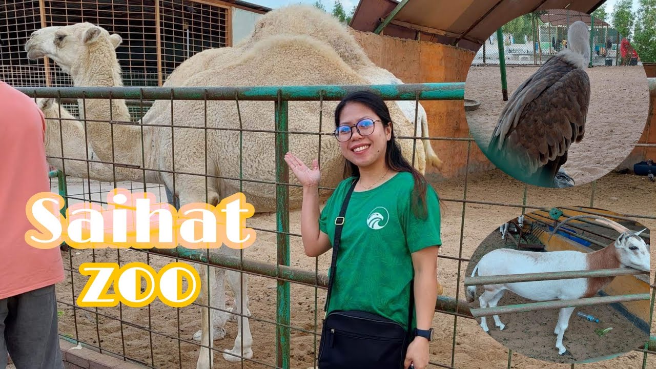 Saihat Zoo Dammam Saudi Arabia YouTube