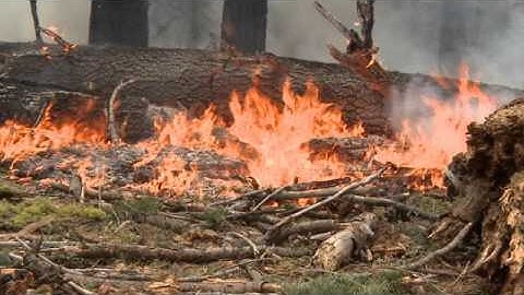 Introduction to Combustion – 1