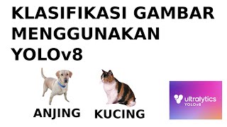 Klasifikasi Kucing dan Anjing Menggunakan Yolo V8 Classification