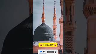 My Beautiful Religion WhatsApp status||Beautiful Islamic Status video religion shorts rajislam385