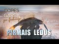 COPES GARŠA -S4E16 - PIRMAIS LEDUS