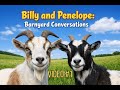 Billy and Penelope — Barnyard Conversations #1