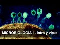 Microbiología 01: Introducción y  Virus