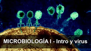 Microbiología 01: Introducción y  Virus