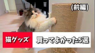 早く買えばよかった猫グッズ5選を発表しちゃいます【前編】