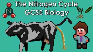 The Nitrogen Cycle - WJEC Biology - (GCSE REVISION)