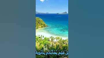 سورة المائدة وكانك تسمعها لأ.و..ل مر.ة💛💟. 💐. 💮💐بصوت الشيخ حمزة مد.بو.ح 💙👍. 💚💝. 🌺