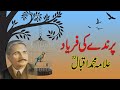 Parinday Ki Faryad Ata Ha Yad Muj Ko Guzra Hua Zamana Allama Iqbal Gohar E Sukhan