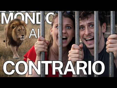 Safari al Kruger: Dove gli Uomini sono in gabbia e gli Animali liberi