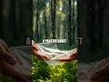 Signal and Shelter: A Hidden Forest Drill