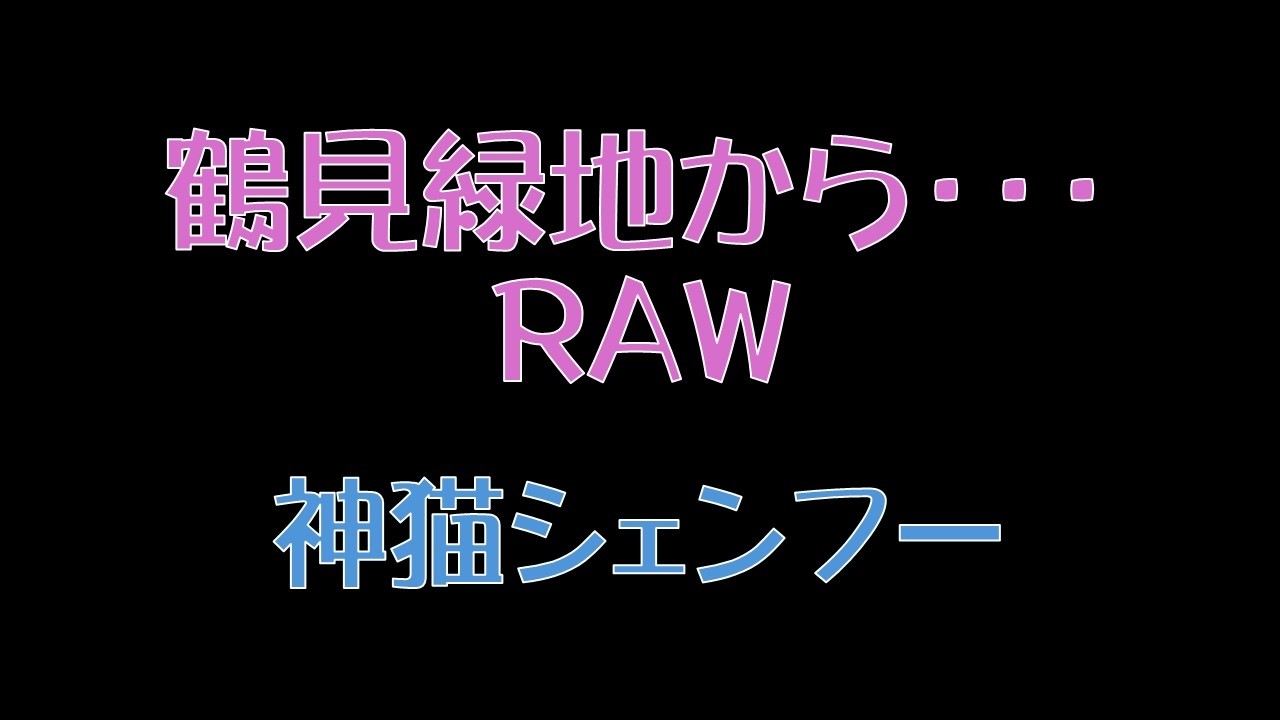 鶴見緑地から・・・RAW　神猫シェンフー