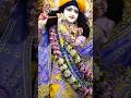 🪷 Special Darshan 🪷