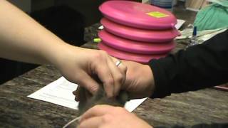 VETT 220 Task 42- Subcutaneous Fluid Administration- Feline